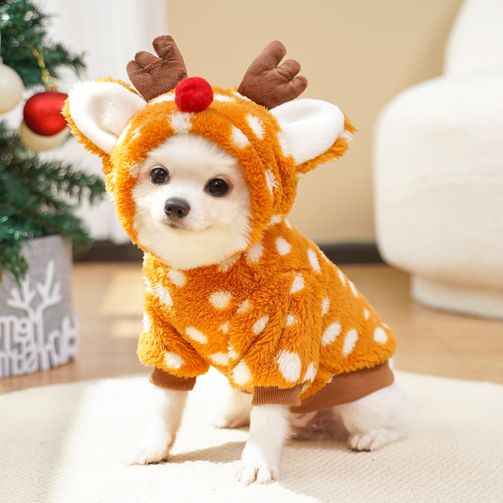 Cute Christmas Reindeer Pet Cl - Winter Clothing Must Haves recension och pris