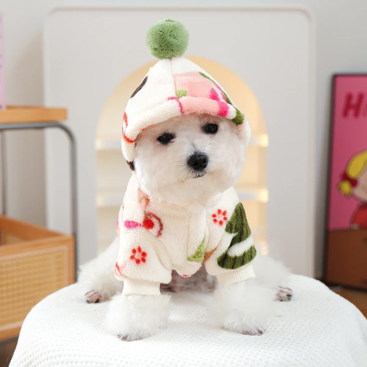 Puppy Clothes Are Thickened an - Winter Clothing Must Haves recension och pris